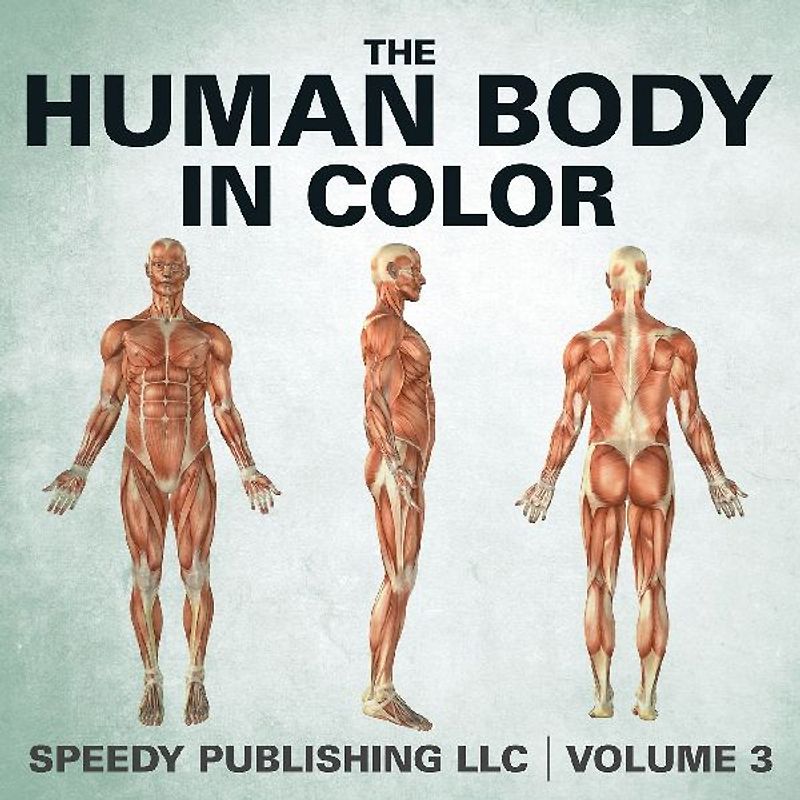 The Human Body In Color Volume 3