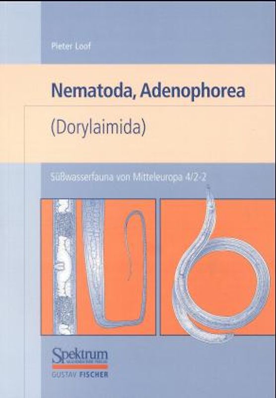 Süßwasserfauna von Mitteleuropa, Bd. 04/2-2: Nematoda, Adenophorea (Dorylaimida)