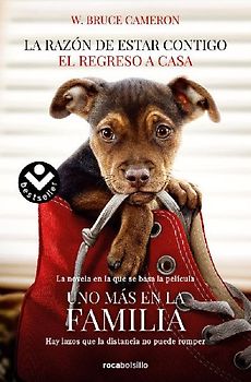 La razón de estar contigo : el regreso a casa