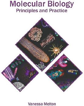 Molecular Biology: Principles and Practice