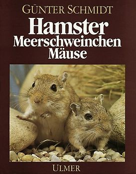 Hamster, Meerschweinchen, Mäuse