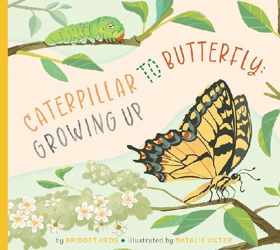 Caterpillar to Butterfly: Growing Up