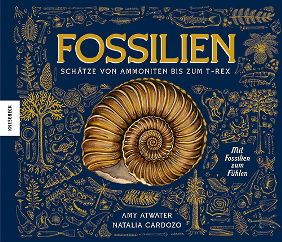 Fossilien – Schätze von Ammoniten bis zum T. Rex