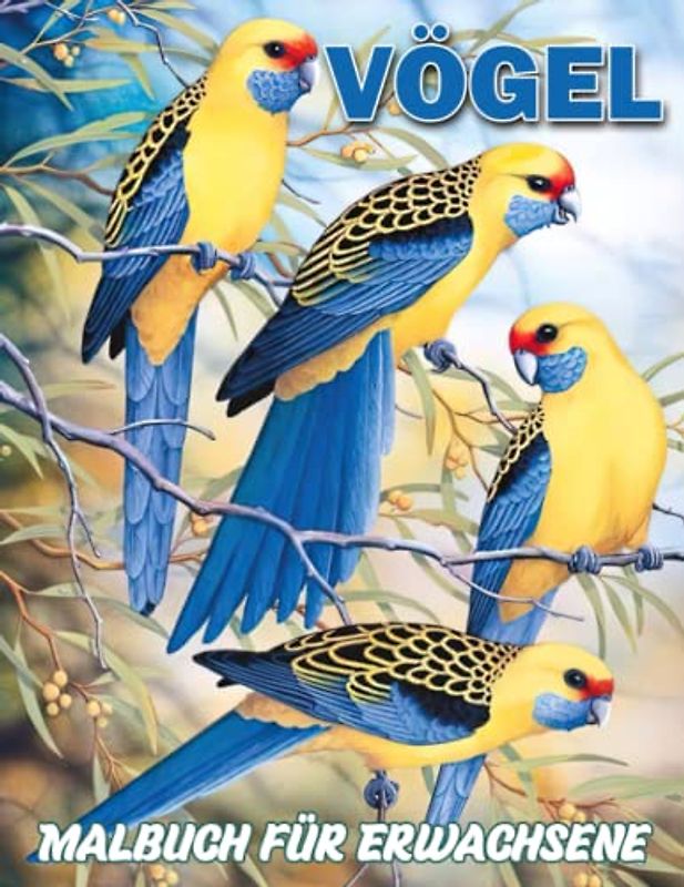Vögel Malbuch für Erwachsene: Sammlung von vielen schönen Vögeln mit 30 Malvorlagen im Inneren | Geschenke für alle Altersgruppen, um entspannt und kreativ zu sein