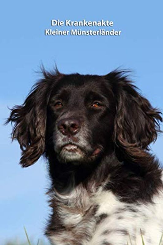 Die Krankenakte Kleiner Münsterländer: Dokumentiere mit einer sinnvollen Vorlage schnell und einfach die Krankheiten / Verletzungen Deines Hundes