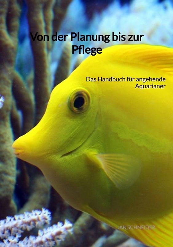 Von der Planung bis zur Pflege