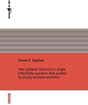 Inter-sublevel dynamics in single InAs/GaAs quantum dots probed by strong terahertz excitation