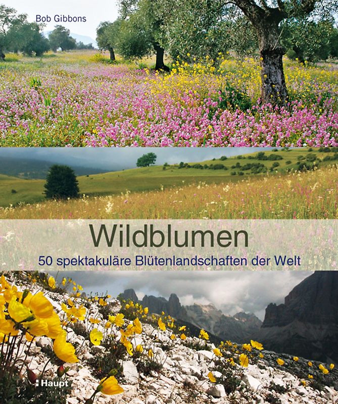 Wildblumen