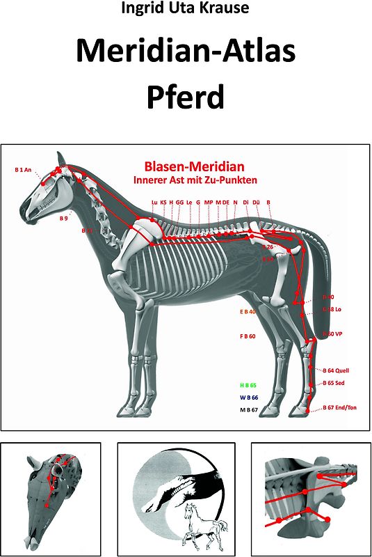 Meridian-Atlas Pferd