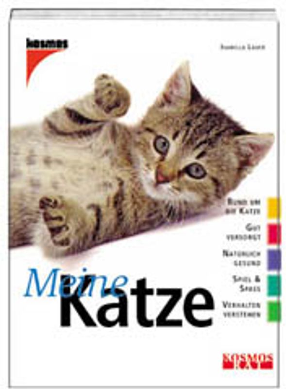 Meine Katze