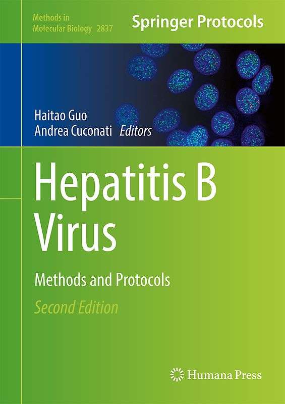 Hepatitis B Virus