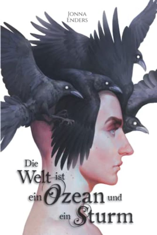 Die Welt ist ein Ozean und ein Sturm: Illustrierte Schmuckausgabe