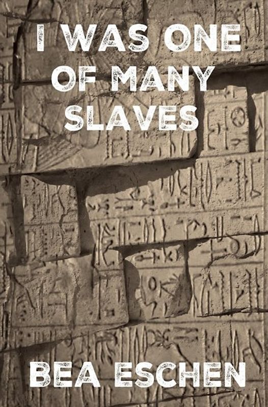 I Was One Of Many Slaves