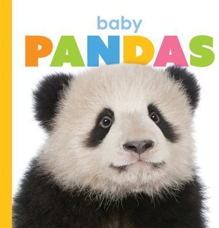 Baby Pandas