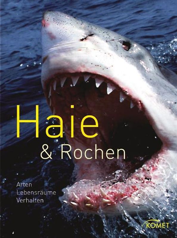 Haie & Rochen