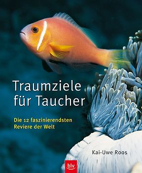 Traumziele für Taucher