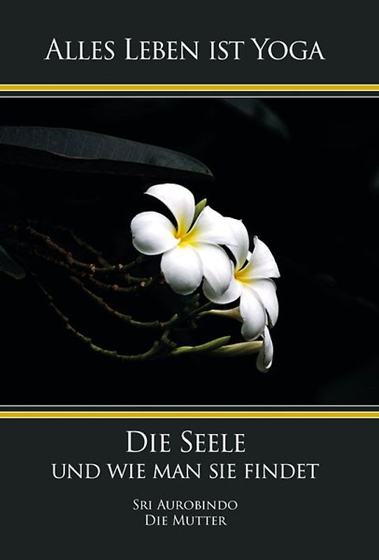 Die Seele und wie man sie findet