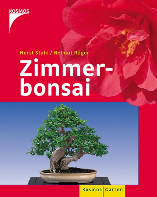 Zimmerbonsai