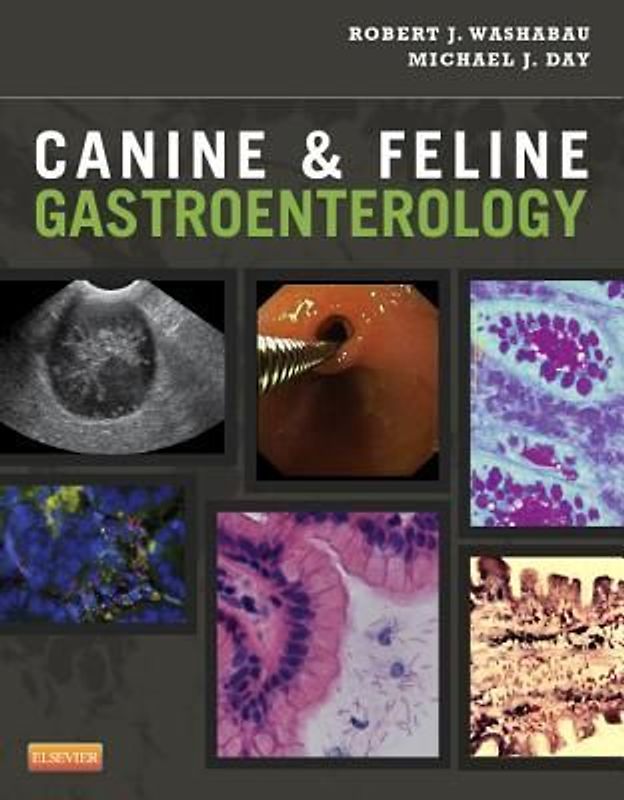 Canine & Feline Gastroenterology