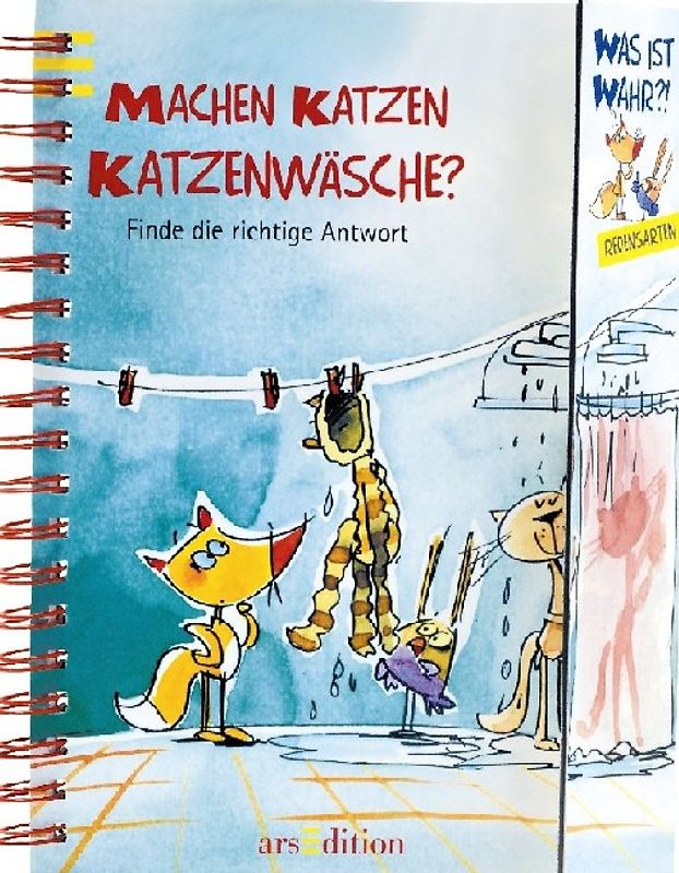 Machen Katzen Katzenwäsche?