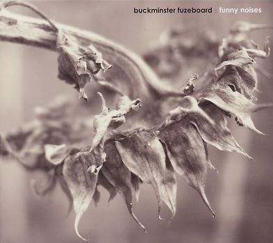 Buckminster Fuzeboard - Funny Noises