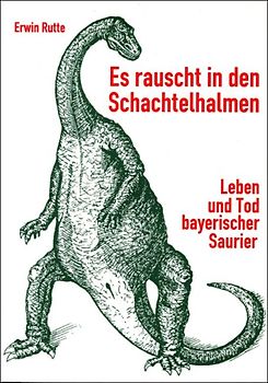 Es rauscht in den Schachtelhalmen