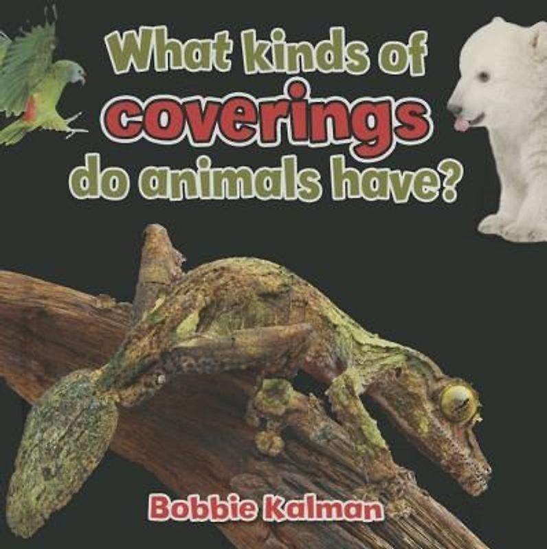 What Kinds of Coverings Do Animals Have?