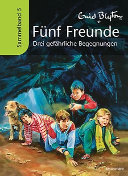 Fünf Freunde - Drei gefährliche Begegnungen