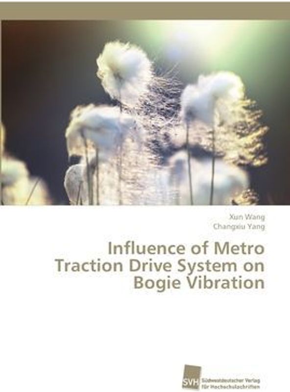 Influence of Metro Traction Drive System on Bogie Vibration