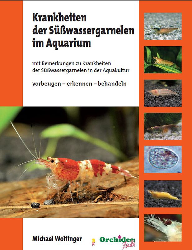 Krankheiten der Süßwassergarnelen im Aquarium