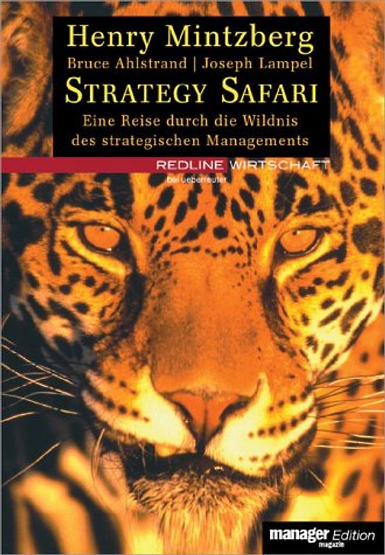 Strategy Safari