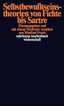 Selbstbewußtseinstheorien von Fichte bis Sartre