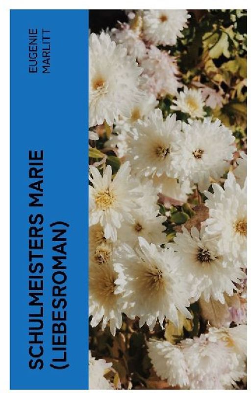 Schulmeisters Marie (Liebesroman)
