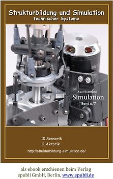 Strukturbildung und Simulation Band 6