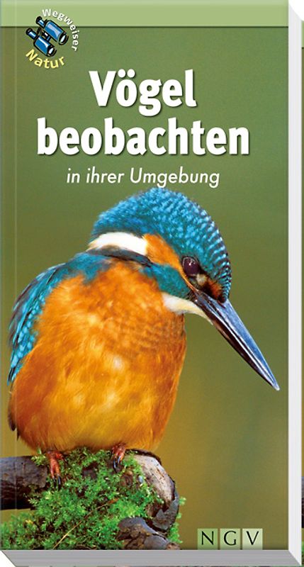 Vögel beobachten in ihrer Umgebung