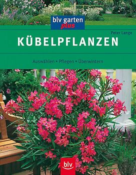 Kübelpflanzen