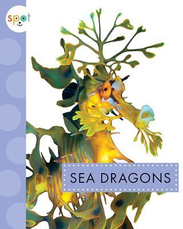 Sea Dragons