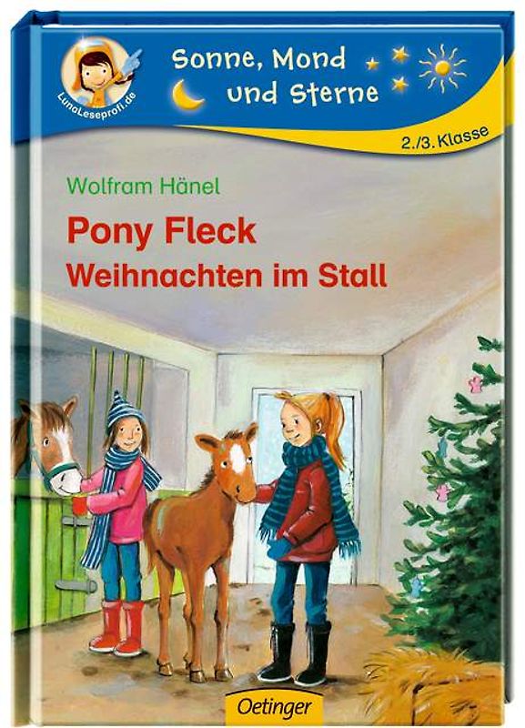 Pony Fleck - Weihnachten im Stall