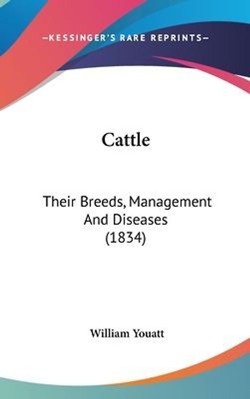 Cattle