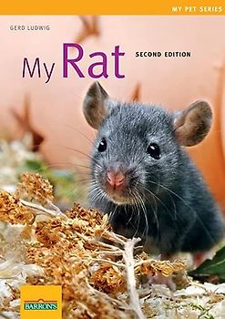 My Rat