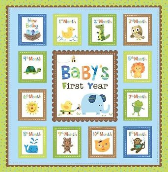 Baby's First Year