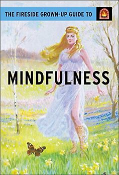 The Fireside Grown-Up Guide to Mindfulness