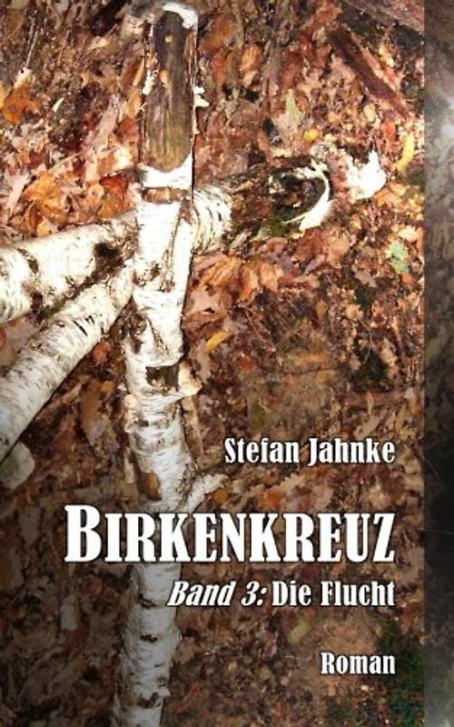 Birkenkreuz 3: Die Flucht (Die Birkenkreuz-Saga, Band 3)