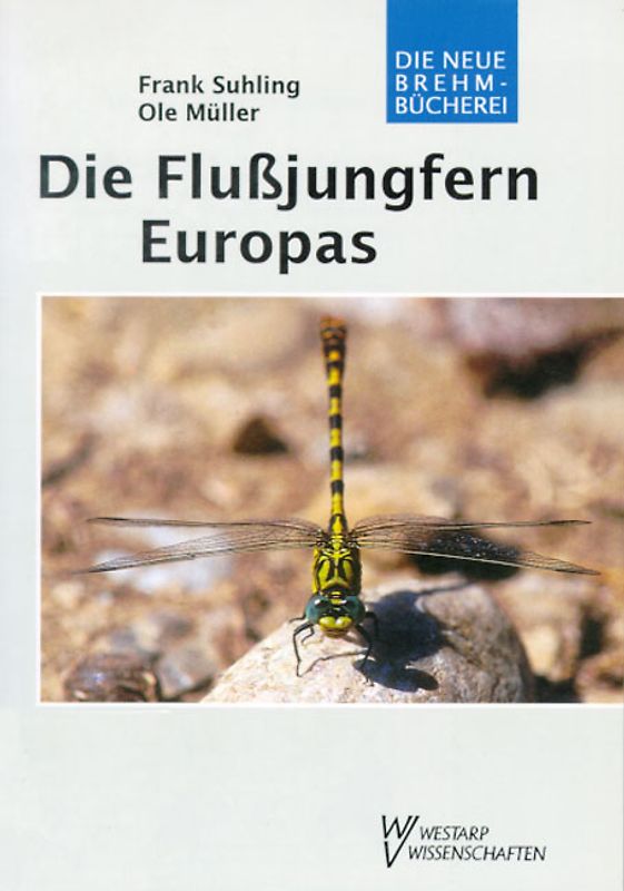 Die Flußjungfern Europas