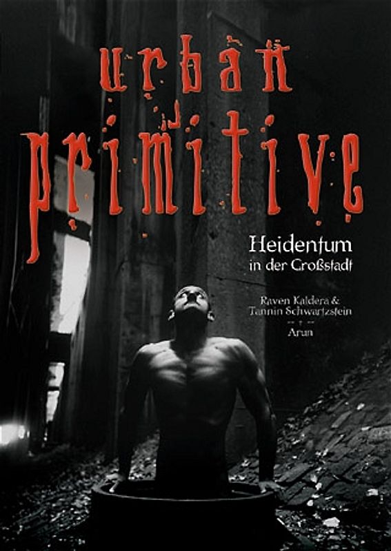 Urban Primitive