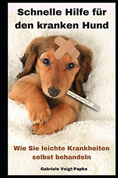 Schnelle Hilfe für den kranken Hund: Wie Sie leichte Krankheiten selbst behandeln