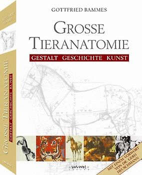 Große Tieranatomie
