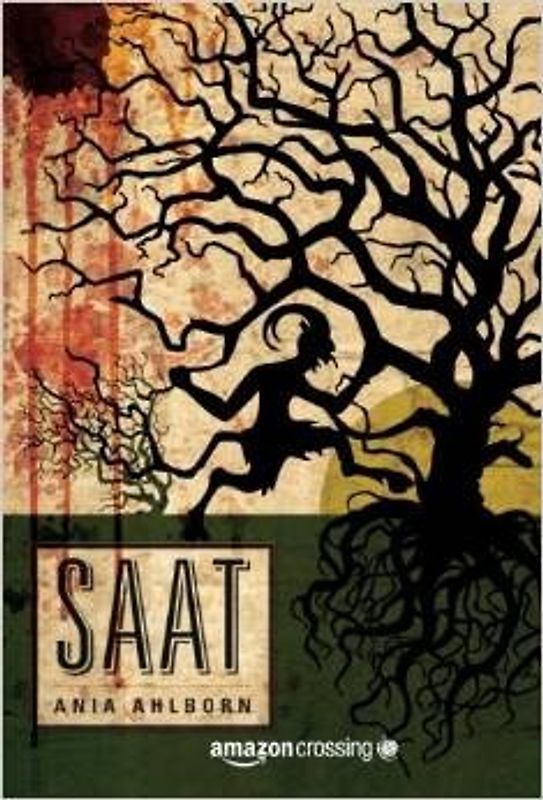 Saat: Roman