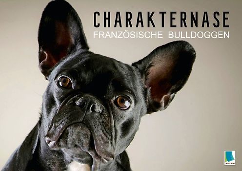 Charakternase: Französische Bulldoggen (Tischaufsteller DIN A5 quer)
