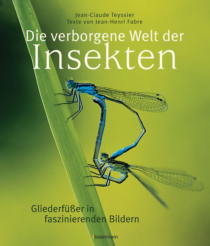 Die verborgene Welt der Insekten